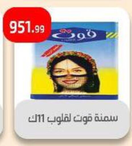 زيوت و سمن in مؤسسة ايهاب البرنس, Egypt Offers - Egypt available at مؤسسة ايهاب البرنس in Egypt - القاهرة