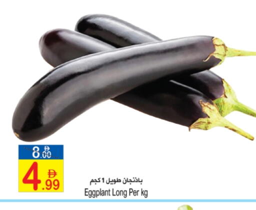 الخضروات الطازجة in سن اند ساند هايبر ماركت ذ.م.م, UAE Offers - الإمارات العربية المتحدة Eggplant available at سن اند ساند هايبر ماركت ذ.م.م in الإمارات العربية المتحدة , الامارات - رَأْس ٱلْخَيْمَة