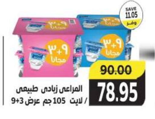 ALMARAI Yoghurt available at The Mart  in Egypt - Cairo