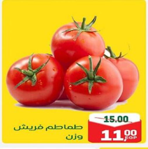 Tomato available at Galhom Market in Egypt - Cairo