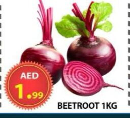الخضروات الطازجة in مركز الوحدة للتخفيضات, UAE Offers - الإمارات العربية المتحدة شمندر available at مركز الوحدة للتخفيضات in الإمارات العربية المتحدة , الامارات - الشارقة / عجمان