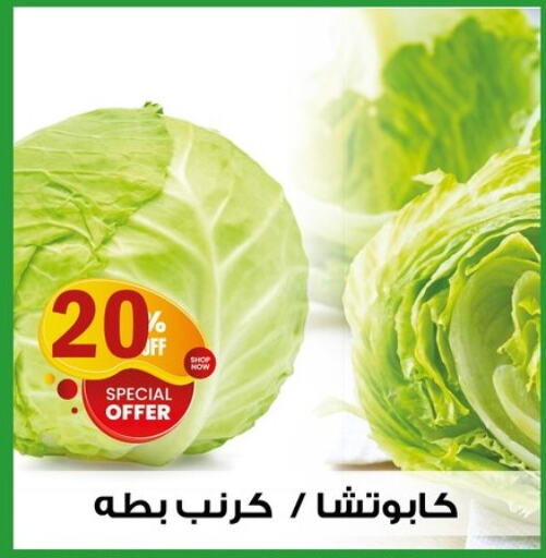 Cabbage available at Al Habib Market in Egypt - Cairo