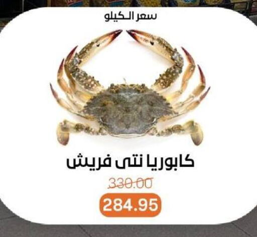 Fresh Fish in Beit El Gomla, Egypt Offers - Egypt available at Beit El Gomla in Egypt - Cairo