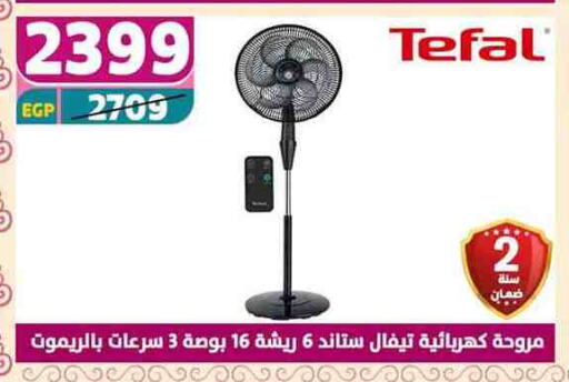 TEFAL Fan available at Shaheen Center in Egypt - Cairo