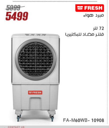 FRESH available at Al Morshedy  in Egypt - Cairo