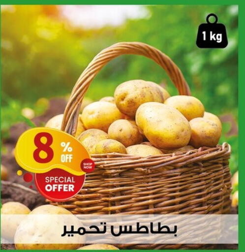 Potato available at Al Habib Market in Egypt - Cairo