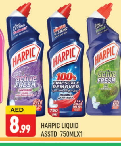 HARPIC Toilet / Drain Cleaner available at AL MADINA (Dubai) in UAE - Dubai