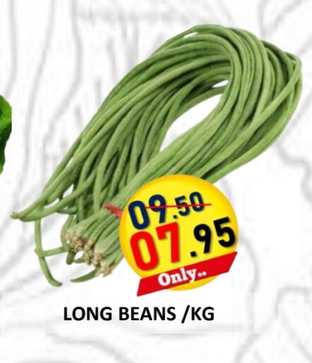 available at رويال جلف هايبرماركت in الإمارات العربية المتحدة , الامارات - أبو ظبي