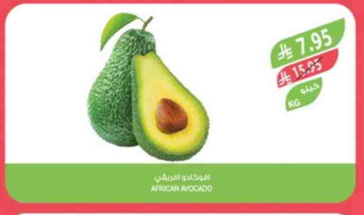 Fresh Fruits in Farm , Saudi Arabia Offers - Saudi Arabia Avacado available at Farm in KSA, Saudi Arabia, Saudi - Dammam