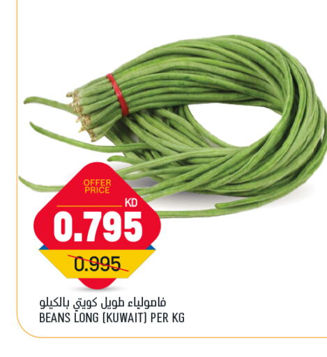 فاصوليا from Kuwait available at غلف مارت in الكويت - محافظة الأحمدي