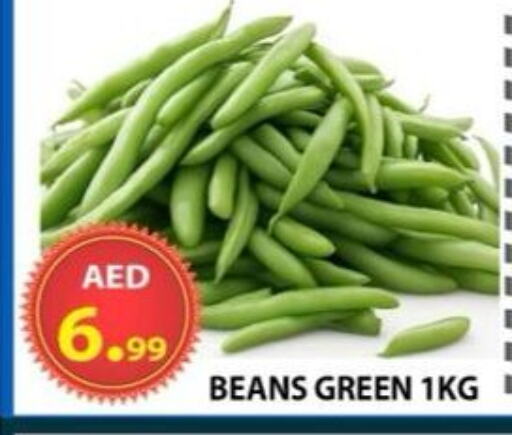 Fresh Vegetables in AL WAHDA DISCOUNTS CENTRE, UAE Offers - United Arab Emirates Beans available at AL WAHDA DISCOUNTS CENTRE in UAE - Sharjah / Ajman