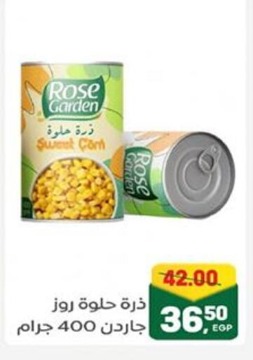 أغذية معلبة ومغلفة in جلهوم ماركت, Egypt Offers - Egypt available at جلهوم ماركت in Egypt - القاهرة