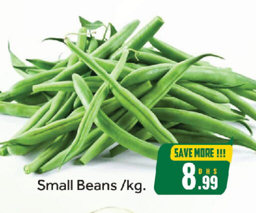 Fresh Vegetables in FOODZONE HYPERMARKET, UAE Offers - United Arab Emirates Beans available at FOODZONE HYPERMARKET in UAE - Sharjah / Ajman