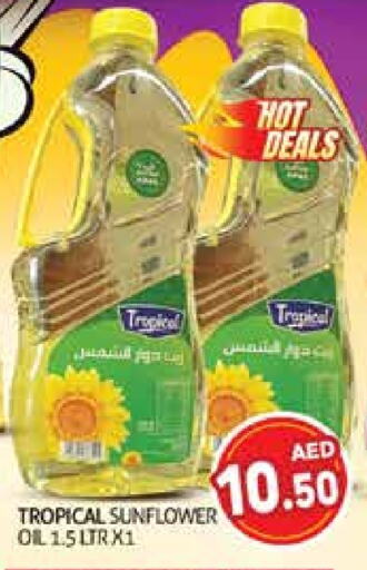 زيوت و سمن in هايبرماركت النخيل محيصنة, UAE Offers - الإمارات العربية المتحدة زيت دوار الشمس available at هايبرماركت النخيل محيصنة in الإمارات العربية المتحدة , الامارات - دبي