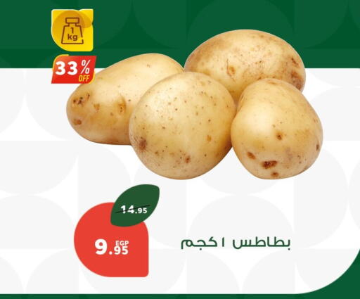 Potato available at Panda  in Egypt - Cairo