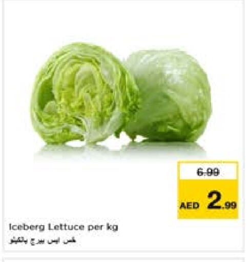 Lettuce available at لاست تشانس in الإمارات العربية المتحدة , الامارات - ٱلْفُجَيْرَة‎
