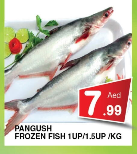 Fresh Fish in Ain Al Madina Hypermarket, UAE Offers - United Arab Emirates available at Ain Al Madina Hypermarket in UAE - Sharjah / Ajman