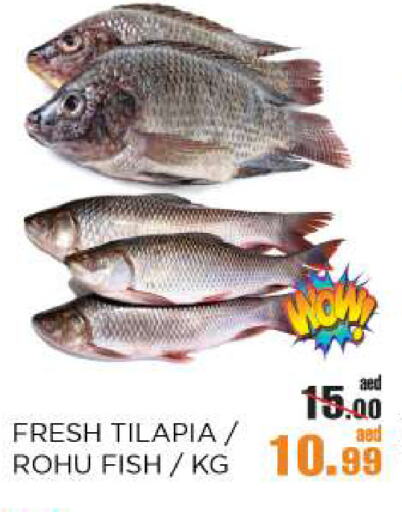 available at OK Hypermarket LLC SPC in UAE - Abu Dhabi