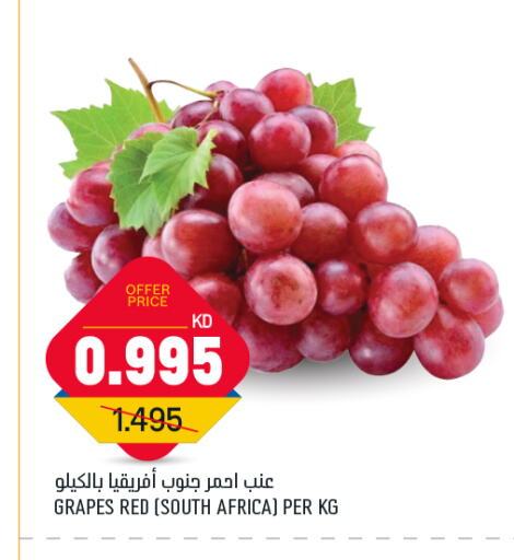 Grapes from South Africa available at Oncost in Kuwait - Kuwait City