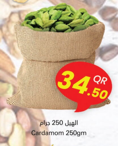 الملح، التوابل والمعجون in احلى مارت, قطر Offers - قطر أعشاب مجففة available at احلى مارت in قطر - الوكرة