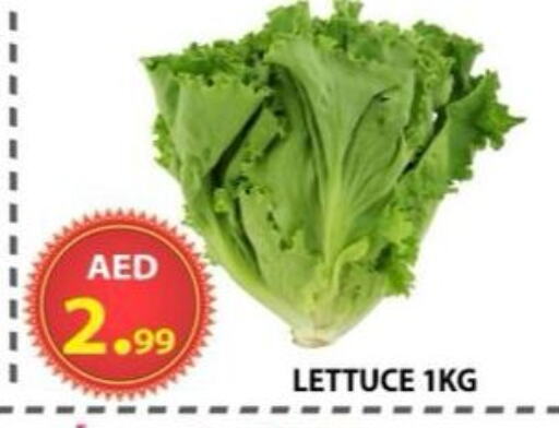 Fresh Vegetables in AL WAHDA DISCOUNTS CENTRE, UAE Offers - United Arab Emirates Lettuce available at AL WAHDA DISCOUNTS CENTRE in UAE - Sharjah / Ajman