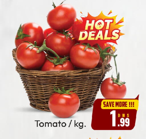 Fresh Vegetables in FOODZONE HYPERMARKET, UAE Offers - United Arab Emirates Tomato available at FOODZONE HYPERMARKET in UAE - Sharjah / Ajman