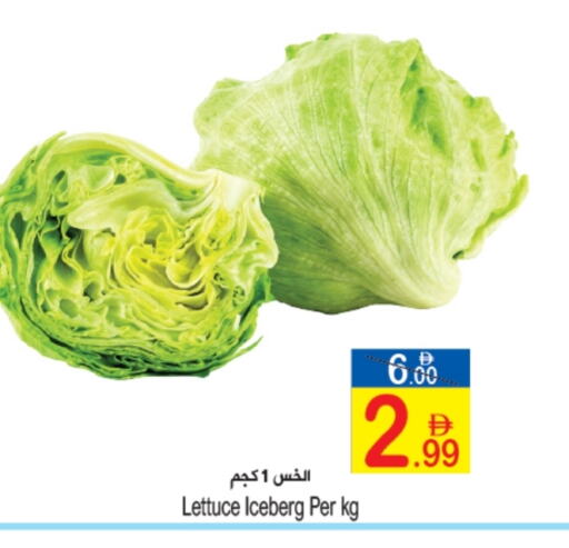 الخضروات الطازجة in سن اند ساند هايبر ماركت ذ.م.م, UAE Offers - الإمارات العربية المتحدة Lettuce available at سن اند ساند هايبر ماركت ذ.م.م in الإمارات العربية المتحدة , الامارات - رَأْس ٱلْخَيْمَة