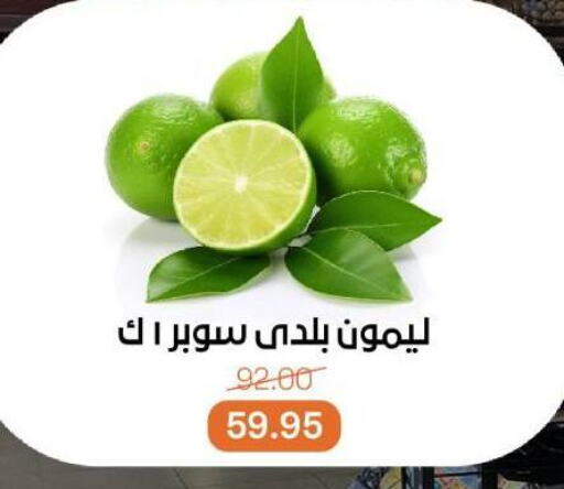 available at Beit El Gomla in Egypt - Cairo
