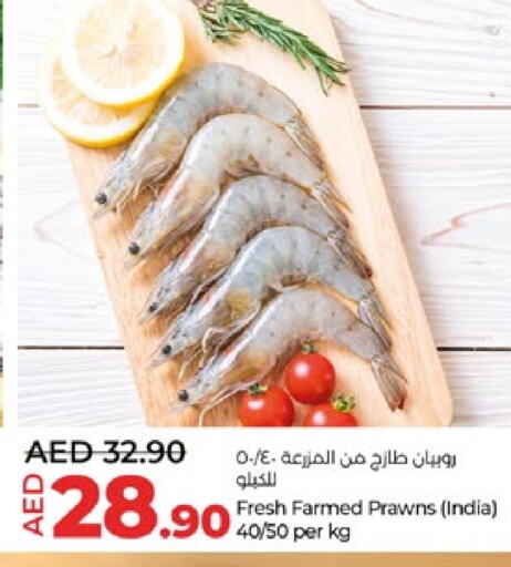 available at Lulu Hypermarket in UAE - Abu Dhabi