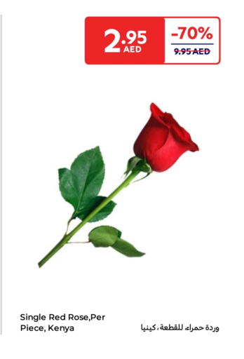 هدايا و ألعاب in كارفور, UAE Offers - الإمارات العربية المتحدة available at كارفور in الإمارات العربية المتحدة , الامارات - ٱلْعَيْن