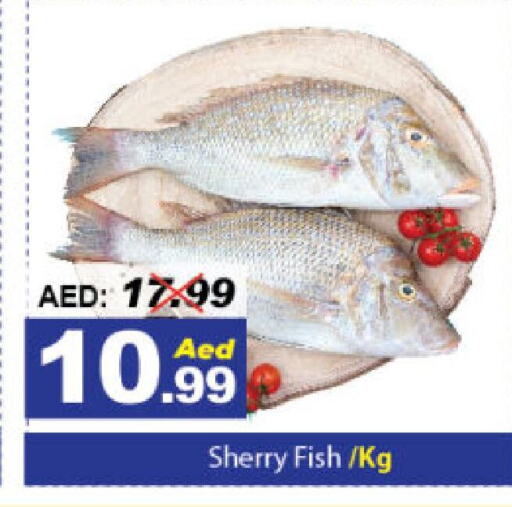 available at ديزرت فريش ماركت in الإمارات العربية المتحدة , الامارات - أبو ظبي