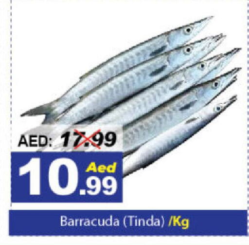 الأسماك الطازجة in ديزرت فريش ماركت, UAE Offers - الإمارات العربية المتحدة available at ديزرت فريش ماركت in الإمارات العربية المتحدة , الامارات - أبو ظبي