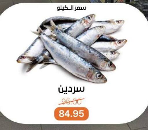available at Beit El Gomla in Egypt - Cairo