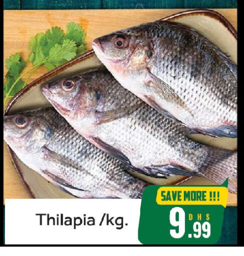 Fresh Fish in FOODZONE HYPERMARKET, UAE Offers - United Arab Emirates available at FOODZONE HYPERMARKET in UAE - Sharjah / Ajman
