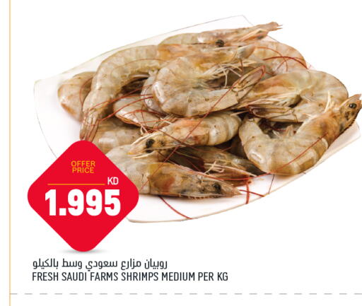 Fresh Fish in Oncost, Kuwait Offers - Kuwait available at Oncost in Kuwait - Ahmadi Governorate