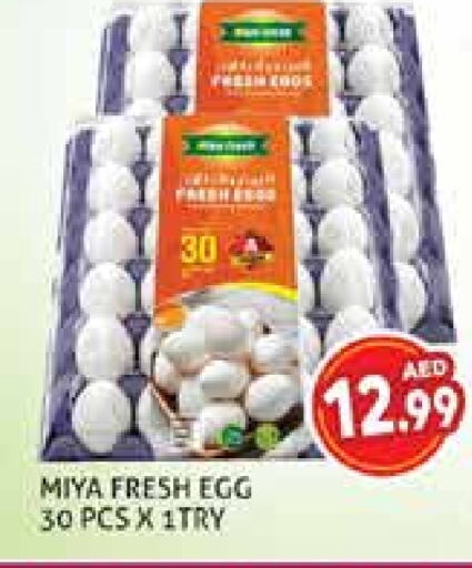 available at Palm Centre LLC in UAE - Sharjah / Ajman