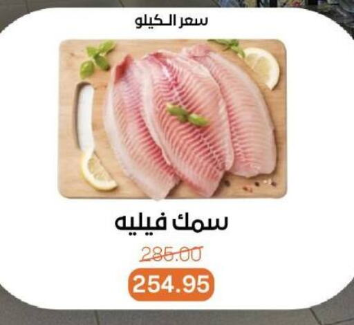 Fresh Fish in Beit El Gomla, Egypt Offers - Egypt available at Beit El Gomla in Egypt - Cairo