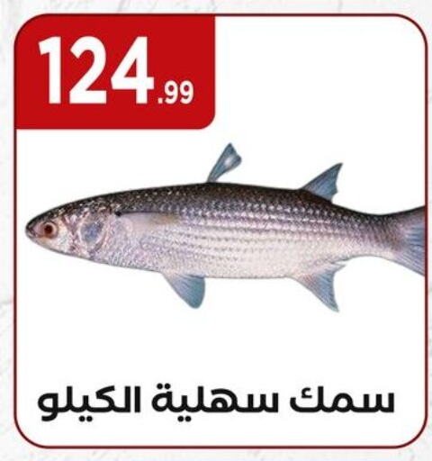 available at MartVille in Egypt - Cairo