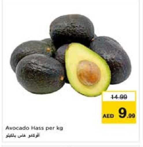 Avocado available at لاست تشانس in الإمارات العربية المتحدة , الامارات - ٱلْفُجَيْرَة‎
