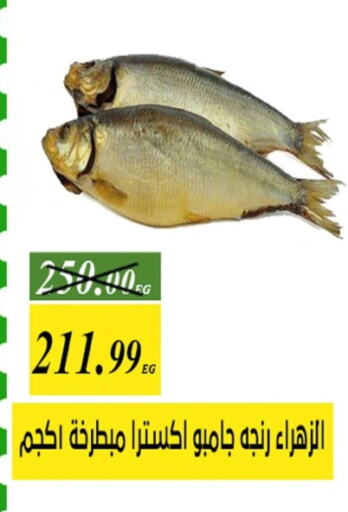 available at جرين تري هايبرماركت - سوهاج in Egypt - القاهرة