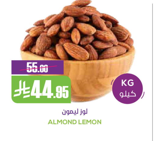 Lemon available at سبت in مملكة العربية السعودية, السعودية, سعودية - بريدة