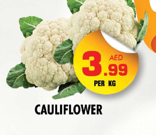 Cauliflower available at NIGHT TO NIGHT DEPARTMENT STORE in UAE - Dubai