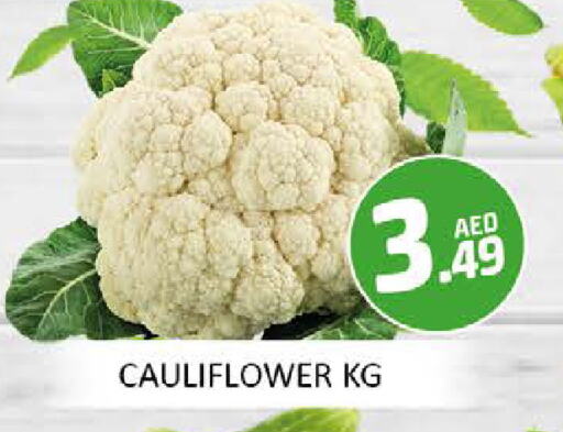 قرنبيط available at المدينة in الإمارات العربية المتحدة , الامارات - دبي