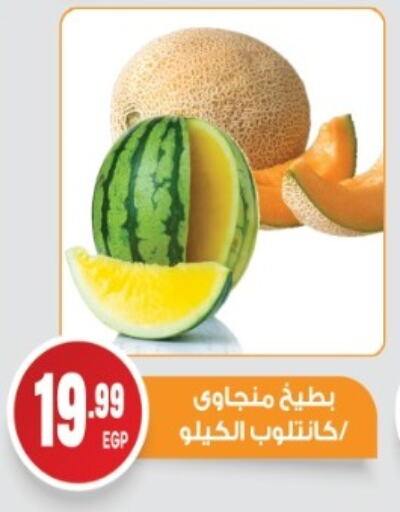 Fresh Fruits in El mhallawy Sons, Egypt Offers - Egypt Watermelon available at El mhallawy Sons in Egypt - Cairo