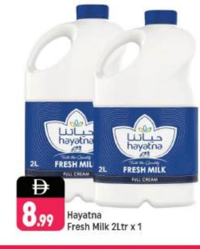 Milk & Laban in Shaklan , UAE Offers - United Arab Emirates HAYATNA Full Cream Milk available at Shaklan in UAE - Dubai