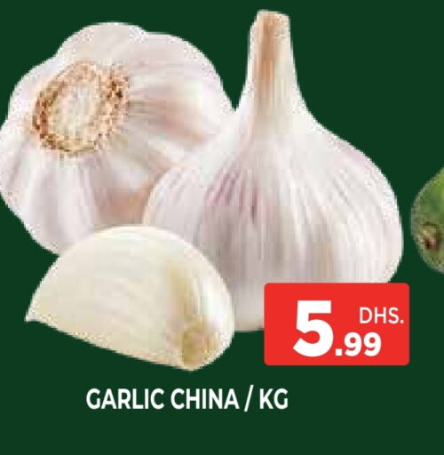 الخضروات الطازجة in اينس المدينة هايبرماركت, UAE Offers - الإمارات العربية المتحدة ثوم from China available at اينس المدينة هايبرماركت in الإمارات العربية المتحدة , الامارات - الشارقة / عجمان