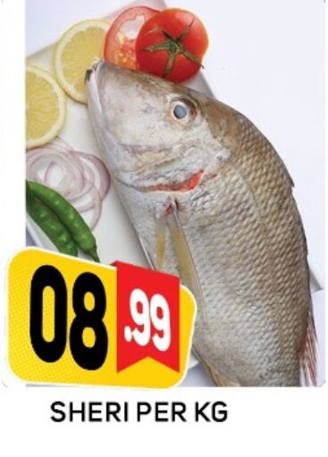 الأسماك الطازجة in داي لايف هايبرماركت, UAE Offers - الإمارات العربية المتحدة available at داي لايف هايبرماركت in الإمارات العربية المتحدة , الامارات - دبي
