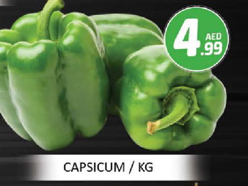 Chilli / Capsicum available at Mango Hypermarket LLC in UAE - Dubai