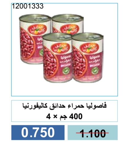 كاليفورنيا جاردن available at جمعية مشرف التعاونية in الكويت - مدينة الكويت