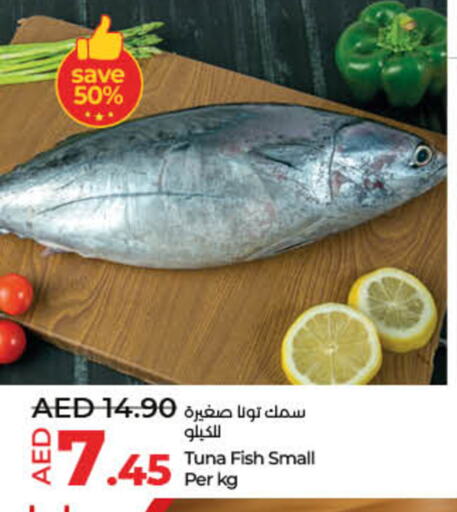 تونة available at لولو هايبرماركت in الإمارات العربية المتحدة , الامارات - رَأْس ٱلْخَيْمَة